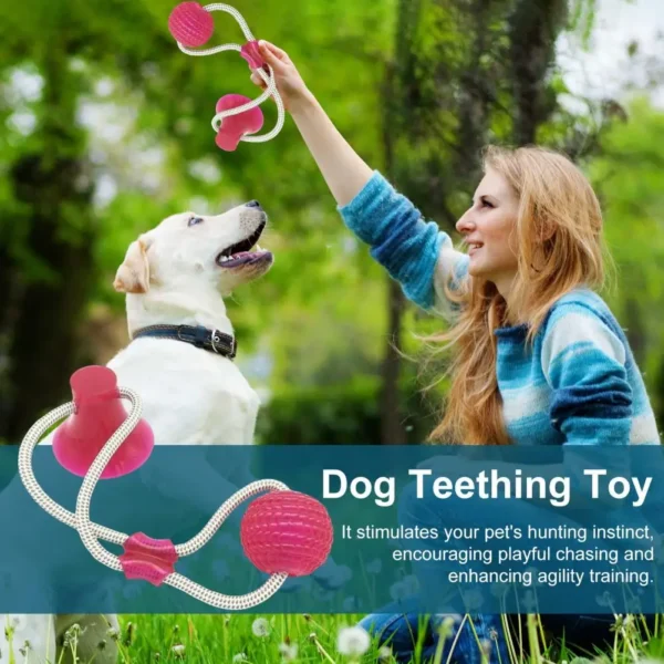 Dog Teething Toy For Aggressive Chewers - Mentally Stimulating Toy - Image 2