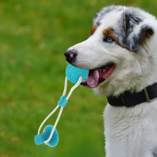 Dog Teething Toy For Aggressive Chewers - Mentally Stimulating Toy - Image 4