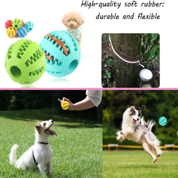 Interactive Rubber Ball For Dogs - Dental Health and Stimulation Toy - Image 2